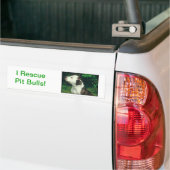 Pitbull Autoaufkleber (Auf Lkw)