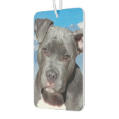 Pitbull Autolufterfrischer (Links)