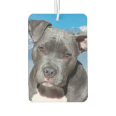 Pitbull Autolufterfrischer (Rückseite)