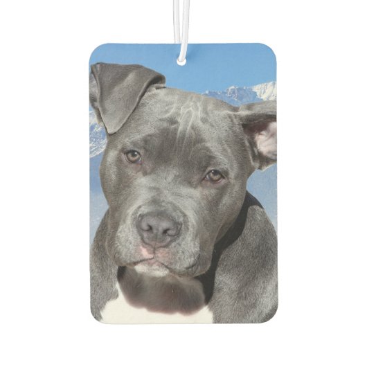 Pitbull Autolufterfrischer (Rückseite)