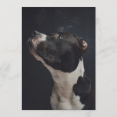 Pitbull Bar Menükarte (Rückseite)