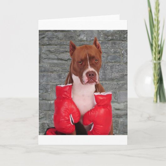 Pitbull Boxer Karte (Vorderseite)