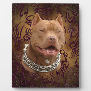 Pitbull Brown Fotoplatte