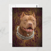 Pitbull Brown Postkarte (Vorne/Hinten)