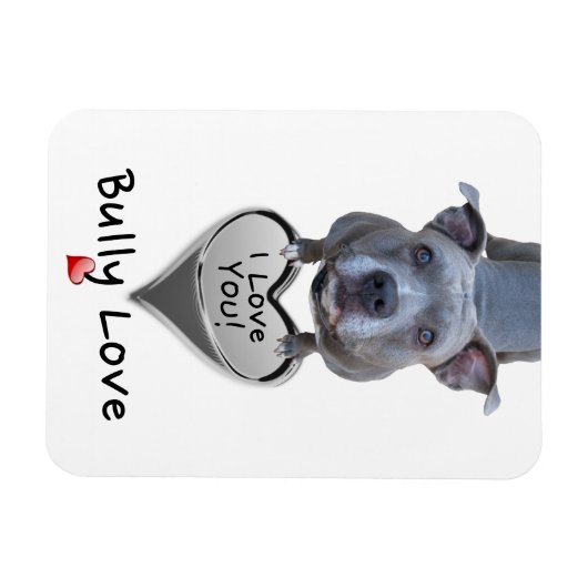 Pitbull Bully Liebe Magnet (Horizontal)