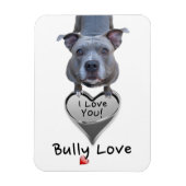 Pitbull Bully Liebe Magnet (Vertikal)