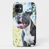 Pitbull Case-Mate iPhone Hülle (Rückseite)