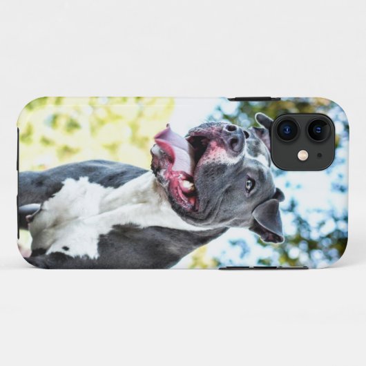 Pitbull Case-Mate iPhone Hülle (Rückseite (Horizontal))