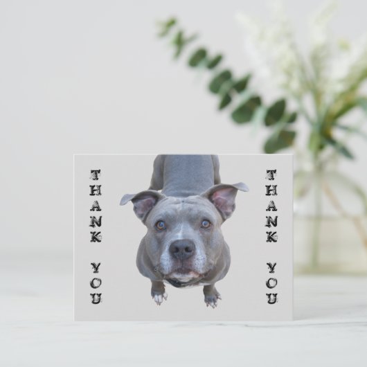 Pitbull Danke, Postcard Postkarte (Stehend Vorderseite)