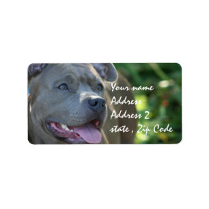 Pitbull Dog Adressaufkleber