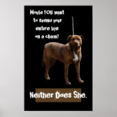 Pitbull Dog an der Kette Poster (Vorne)