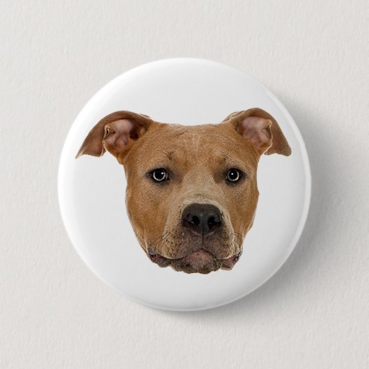 Pitbull Dog Button (Vorderseite)