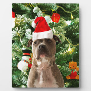 Pitbull Dog Christmas Tree Ornaments Snowman Fotoplatte