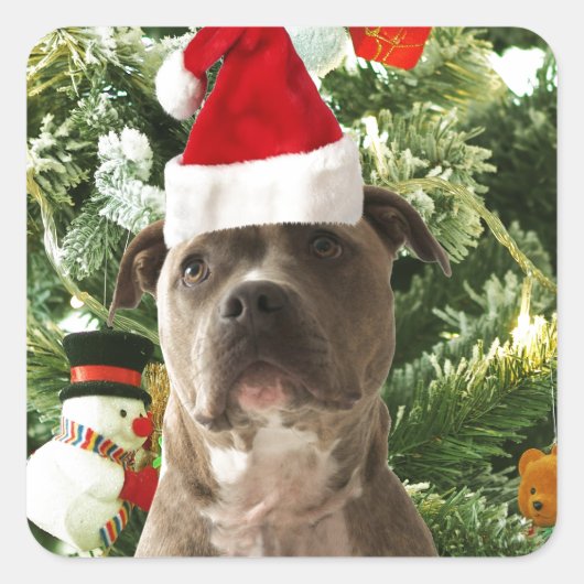 Pitbull Dog Christmas Tree Ornaments Snowman Quadratischer Aufkleber (Vorderseite)