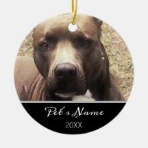 Pitbull Dog Custom Pet Foto Weihnachten
