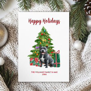 Pitbull Dog Familie Weihnachten