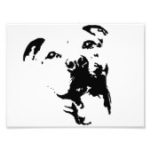 Pitbull Dog Fotodruck (Vorne)