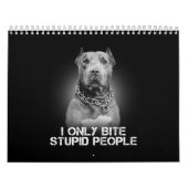Pitbull Dog Kalender (Titelbild)