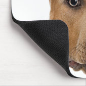 Pitbull Dog Mousepad (Ecke)