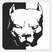 Pitbull Dog Quadratischer Aufkleber (Vorderseite)
