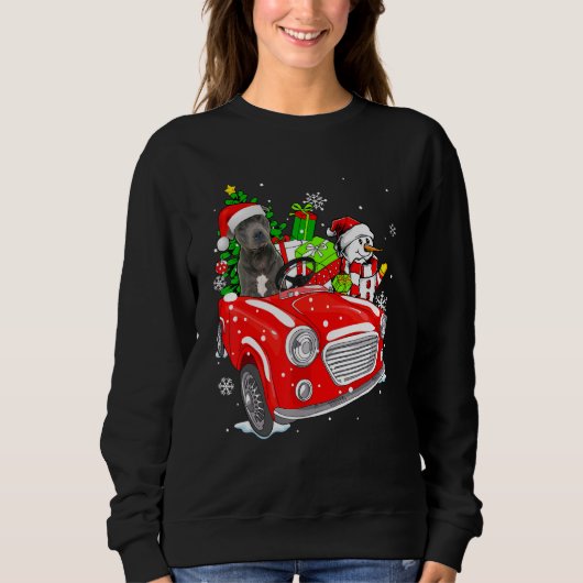Pitbull Dog Santa Hat Red Car Christmas Sweatshirt (Vorderseite)