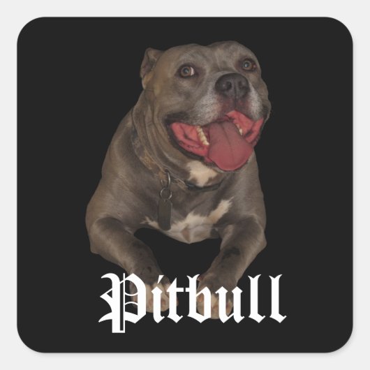 Pitbull Dog Stickers (Vorderseite)