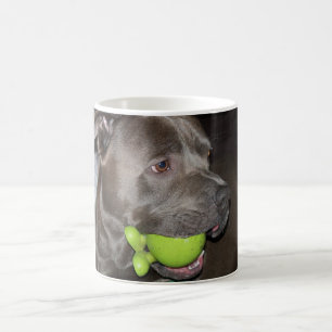 Pitbull Dog with Green Ball Dog Lovers Kaffeetasse