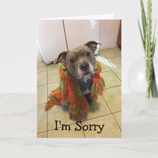 Pitbull Doghouse I'm Sorry card Karte (Vorderseite)