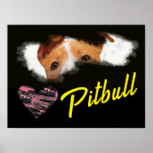 Pitbull Eyes Solid Color Poster (Vorne)