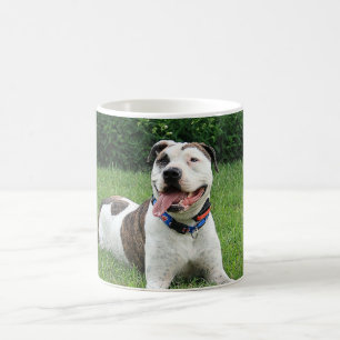 Pitbull-förmiger Knochen Kaffeetasse