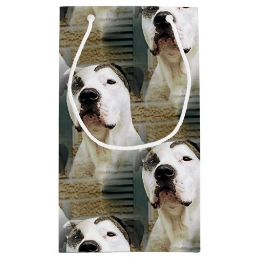 Pitbull-förmiger Knochen Kleine Geschenktüte (Rückseite)