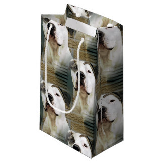 Pitbull-förmiger Knochen Kleine Geschenktüte