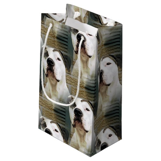 Pitbull-förmiger Knochen Kleine Geschenktüte (Rückseite Schrägansicht)