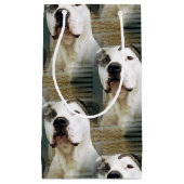 Pitbull-förmiger Knochen Kleine Geschenktüte (Vorderseite)