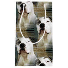 Pitbull-förmiger Knochen Kleine Geschenktüte