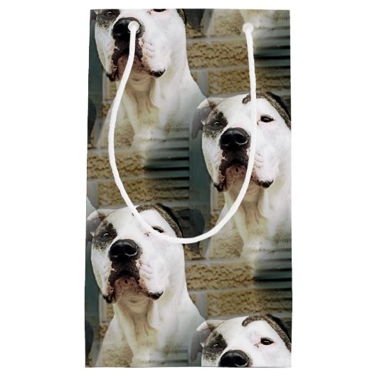 Pitbull-förmiger Knochen Kleine Geschenktüte (Vorderseite)