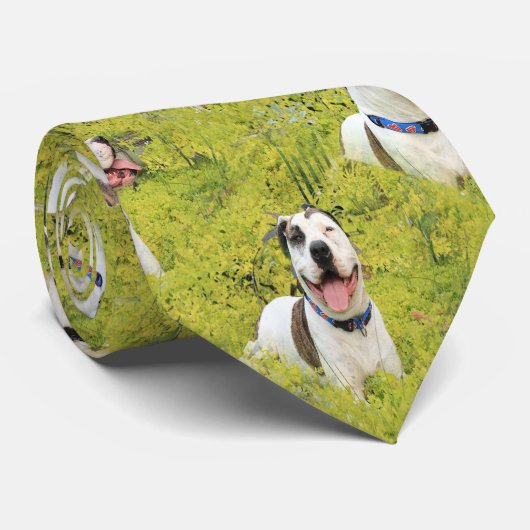 Pitbull-förmiger Knochen Krawatte (Gerollt)