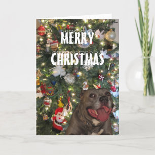 Pitbull Frohe Weihnachtskarte Feiertagskarte
