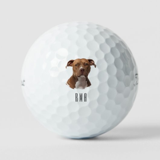 Pitbull Golfball (Vorderseite)
