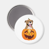 Pitbull Halloween Magnet (Vorderseite/Rückseite)