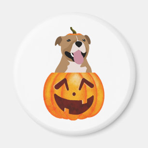 Pitbull Halloween Magnet