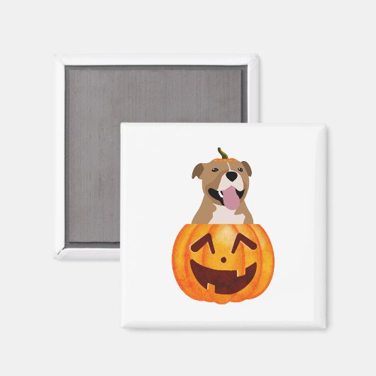 Pitbull Halloween Magnet (Vorderseite/Rückseite)