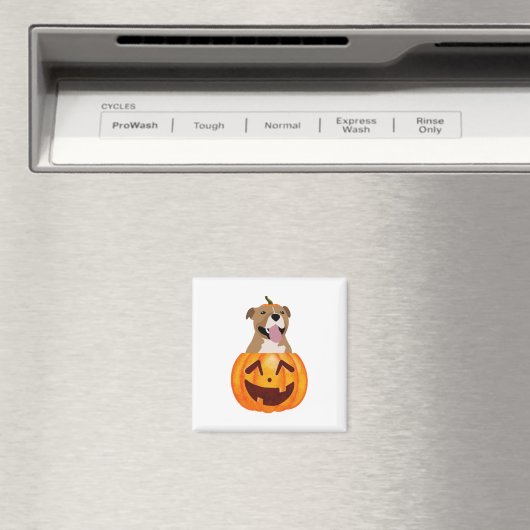 Pitbull Halloween Magnet (In Situ (Geschirrspüler))