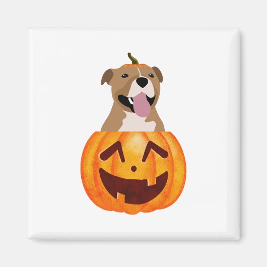 Pitbull Halloween Magnet (Vorne)