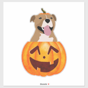Pitbull Halloween Sticker
