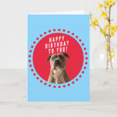 Pitbull Happy Birthday Blue Grußkarte Karte (Gelbe Blume)