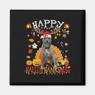 Pitbull Hund Halloween Weihnachtshund Happy Hallot Magnet
