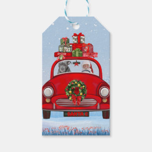 Pitbull Hund in Auto mit dem Weihnachtsmann Geschenkanhänger