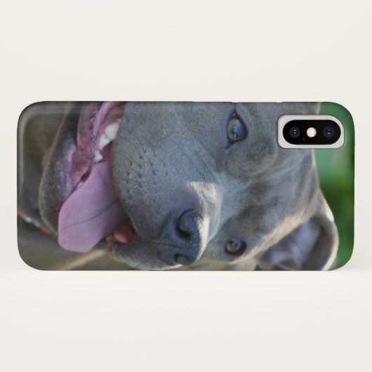 Pitbull Hund iPhone x Gehäuse Case-Mate iPhone Hülle (Rückseite (Horizontal))