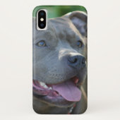 Pitbull Hund iPhone x Gehäuse Case-Mate iPhone Hülle (Rückseite)